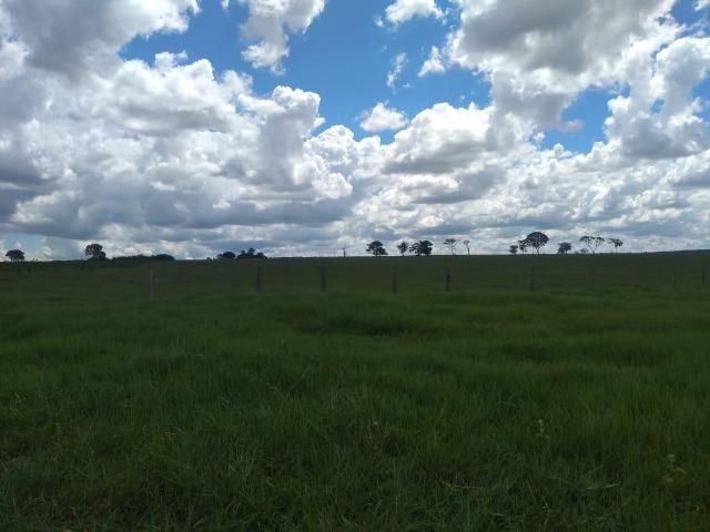 Fazenda pecuária 320 alq. Mato Grosso do Sul - Foto 6