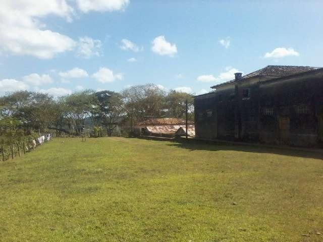 Fazenda de cacau no sul da bahia. mascote - camacã - itabuna - Foto 13
