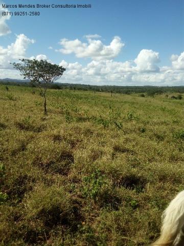 Fazenda a venda em baixa grande - bahia / brasil. - Foto 18
