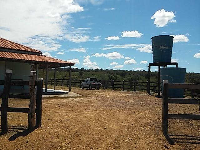 Fazenda de gado em formosa do rio preto. excelente. - Foto 2