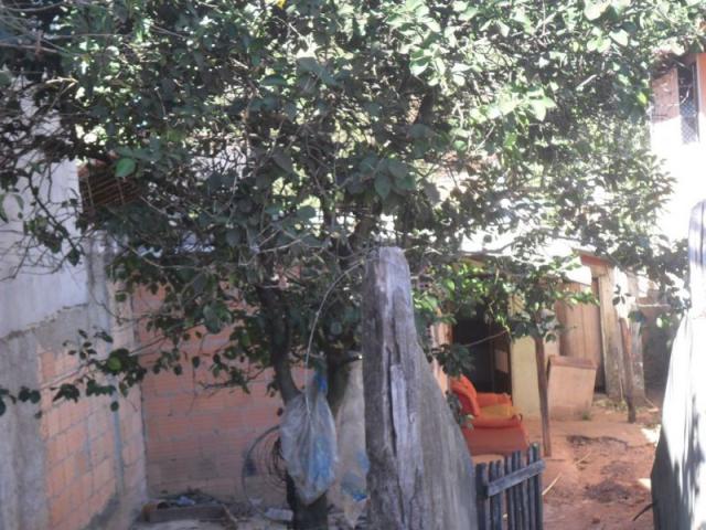 Loteamento/condomínio à venda com dormitórios em São jorge, Três marias cod:264 - Foto 5