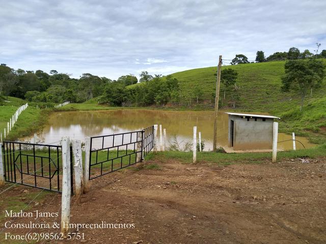 Fazenda em Americano do Brasil-Go! - Foto 3