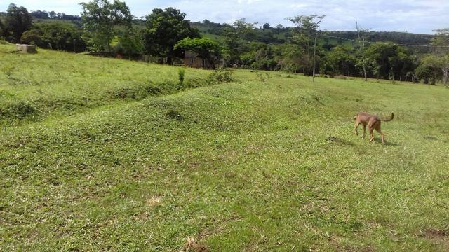 Santo Antônio do Descoberto - Goiás - Foto 16