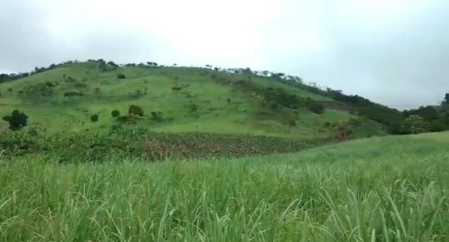Propriedade de 140 hectares, entre Vitória e Escada-PE. - Foto 8