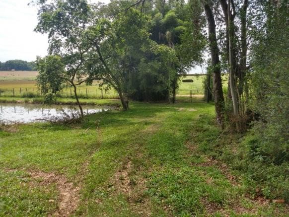Sítio 4,1 hectares - volta do anacleto - montenegro - rs - Foto 12