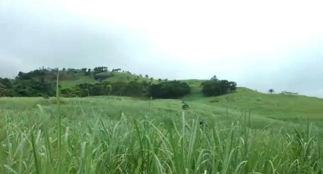 Propriedade de 140 hectares, entre Vitória e Escada-PE. - Foto 3