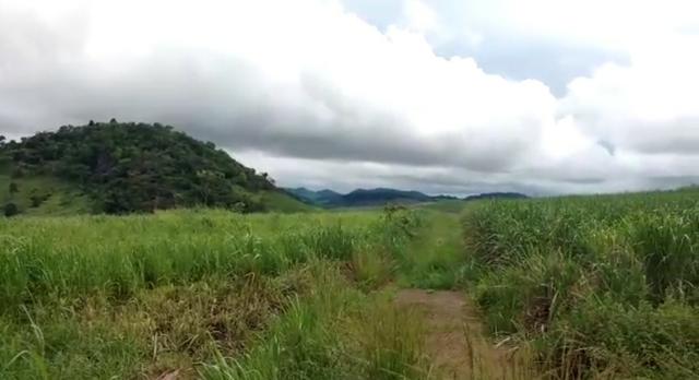 Propriedade de 140 hectares, entre Vitória e Escada-PE. - Foto 13