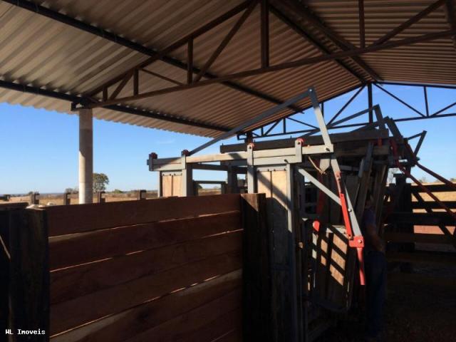Fazenda para Venda em Gurupi, Área Rural de Gurupi, 3 dormitórios, 2 banheiros, 5 vagas - Foto 6