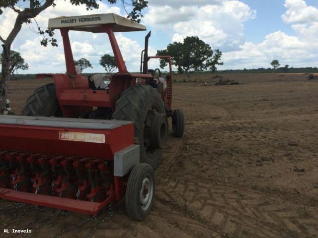 Fazenda para Venda em Gurupi, Área Rural de Gurupi, 3 dormitórios, 2 banheiros, 5 vagas - Foto 14