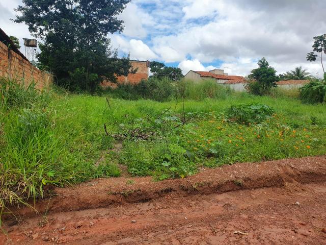Lote escriturado Jardim Veneza ( Aparecida de Goiânia) - Foto 4