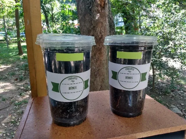 Adubo - Biofertilizantes