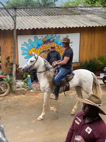 Cavalo MM marcha batida e de centro  - Foto 3