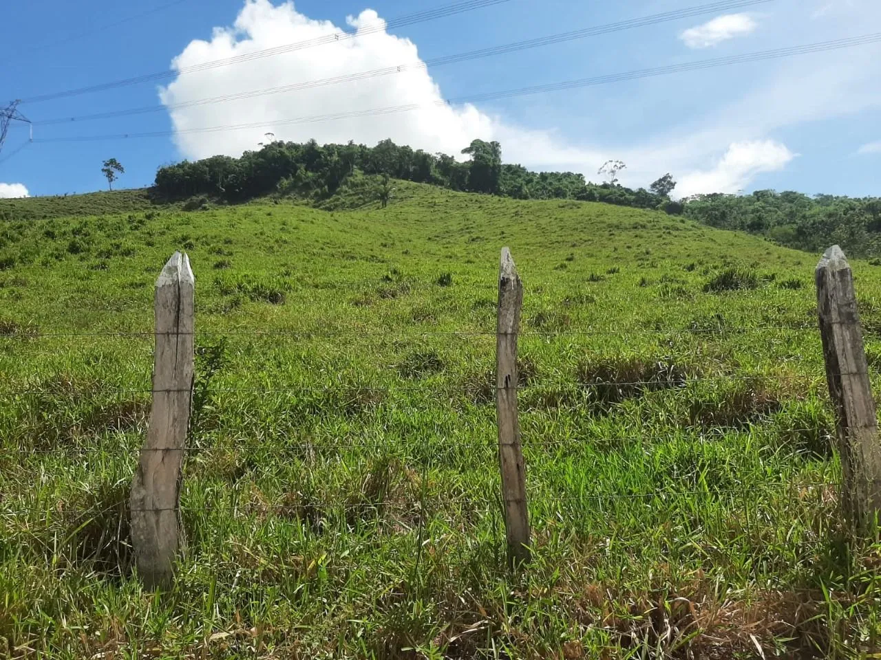 Vendo fazenda em catu Bahia