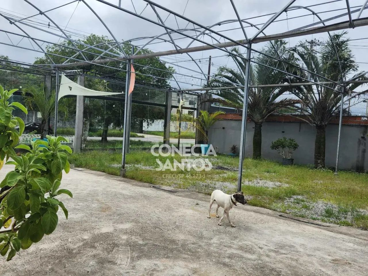 Loja de Rua no Japuí, São Vicente, Cod: 719 - Foto 5