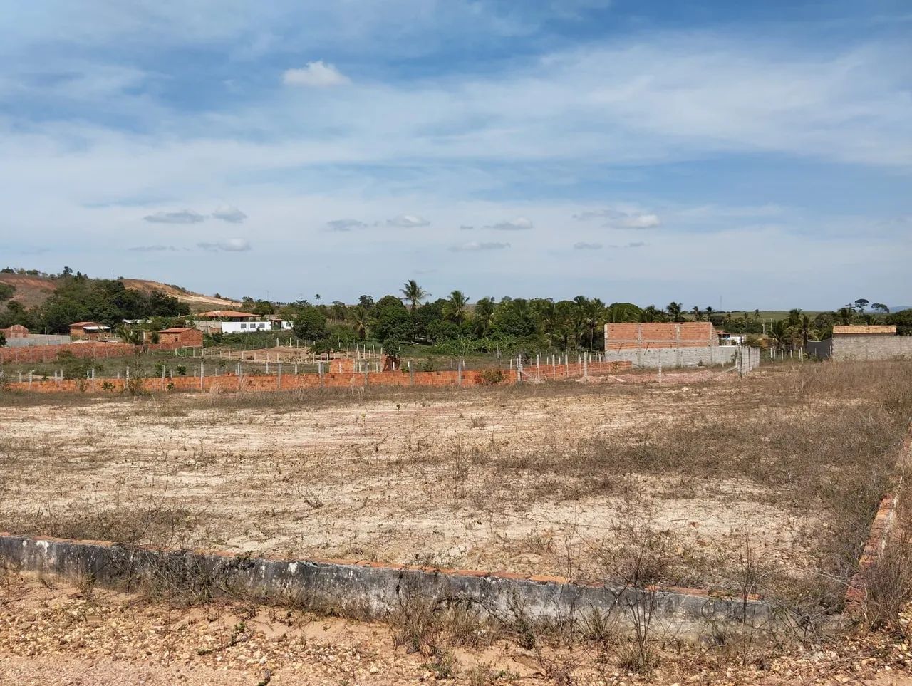 foto - Aracaju - Jabotiana