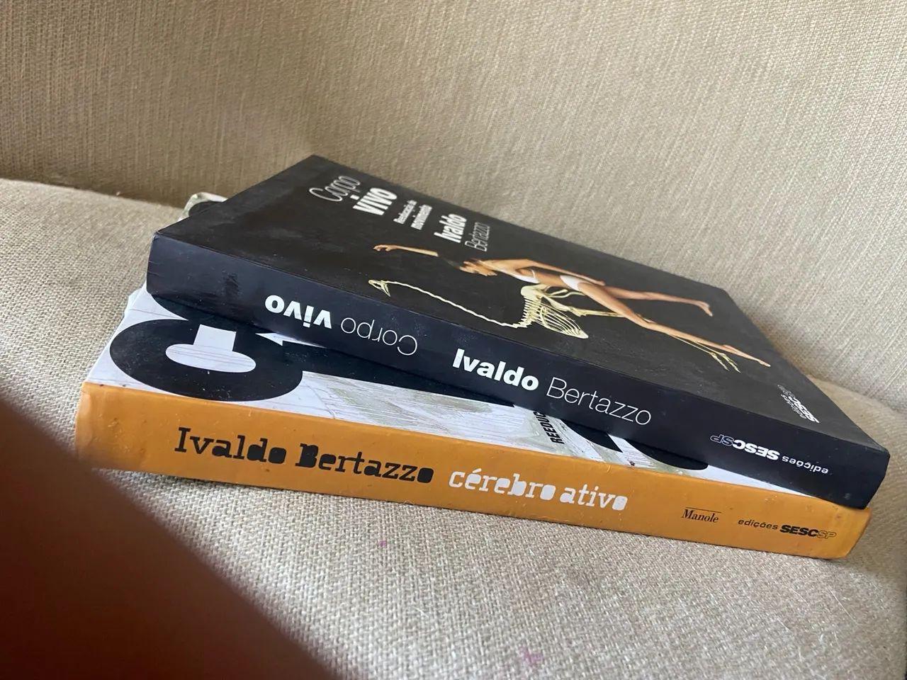 Livros de Reeducação do Movimento - Corpo Vivo e Cérebro Ativo - Foto 2