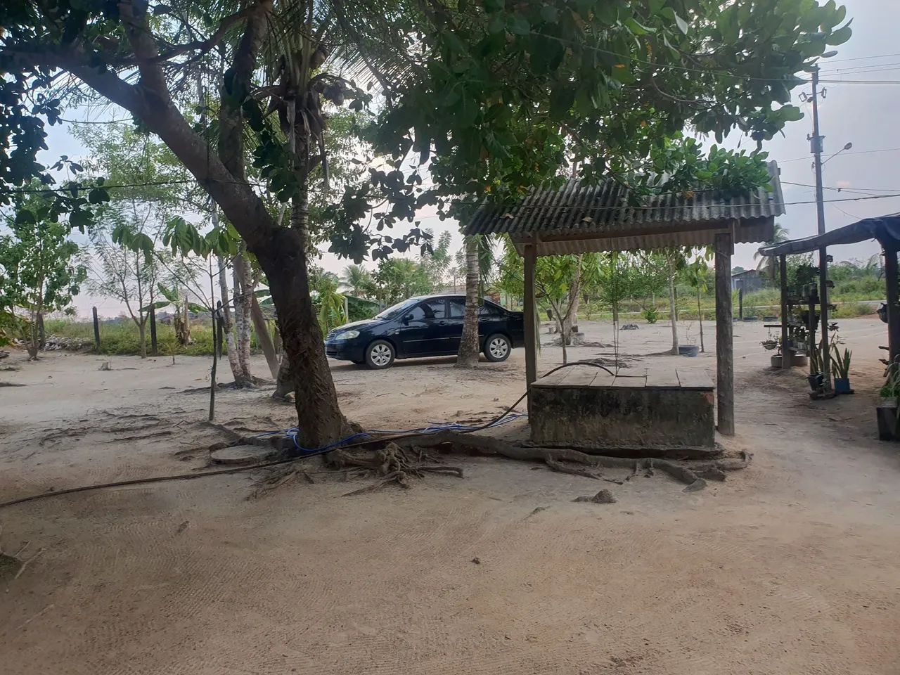 Vendo ou troca lote com 60 hectares na 432 a 18 km da vila Novo Paraíso(500).  - Foto 2