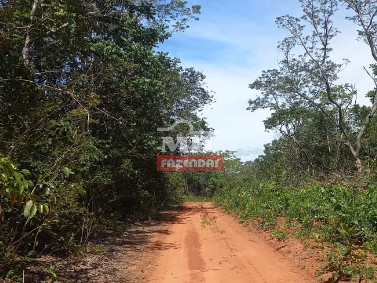 Fazenda de 146.5 Alqueires (708 ha) Mun Pontal do Araguaia