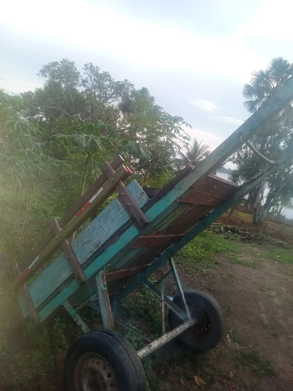 Vendo carro seria para cavalo 800