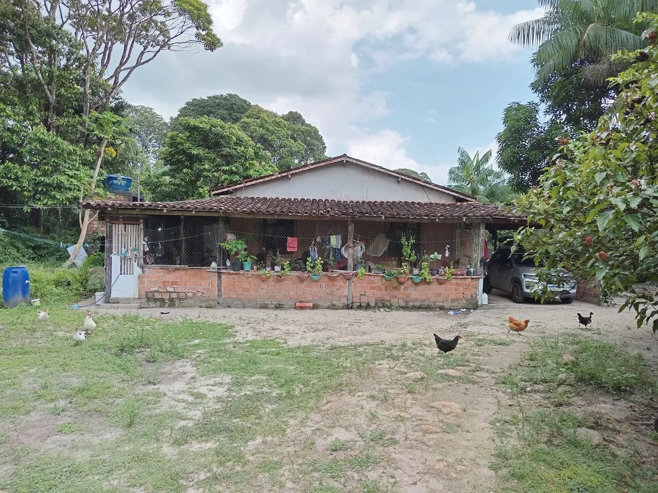 Foto - Belém - Carananduba (Mosqueiro)
