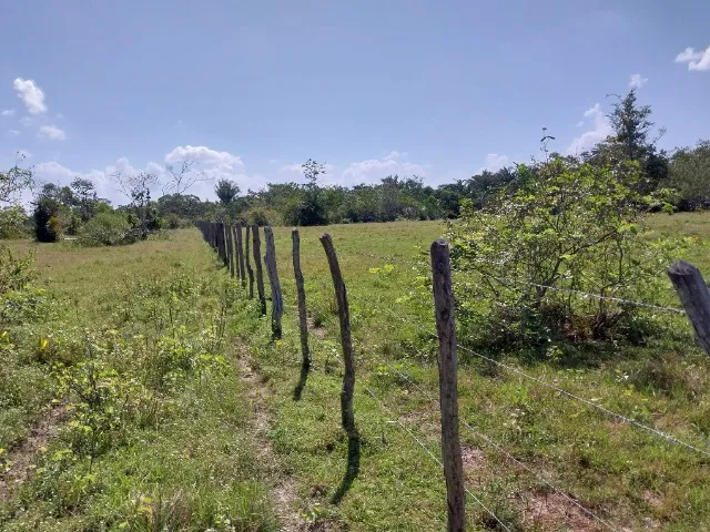Grande oportunidade fazenda documentada