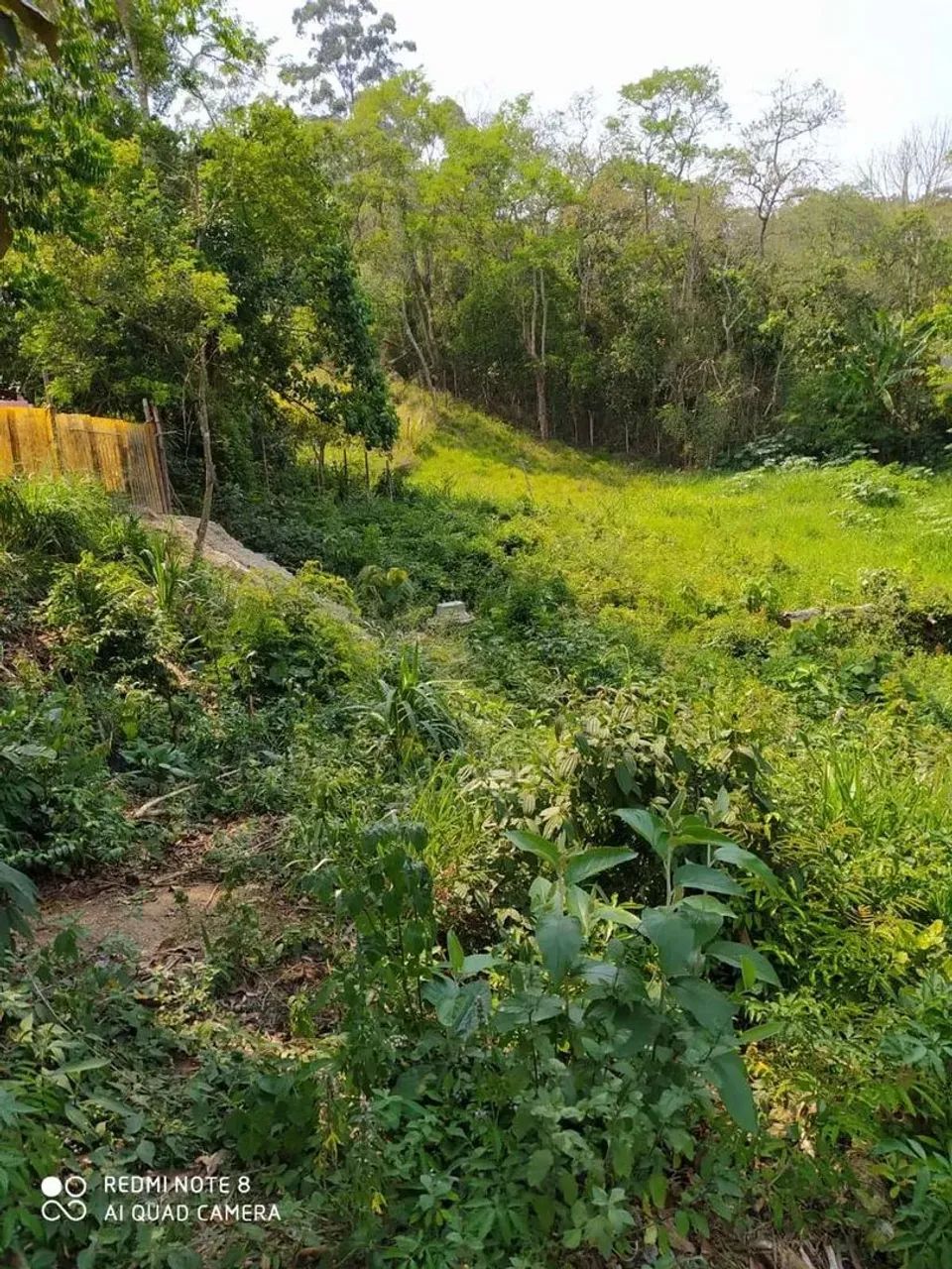 Lote em Rua Periquito - Jardim Nova Cotia - Itapevi/SP - Foto 5