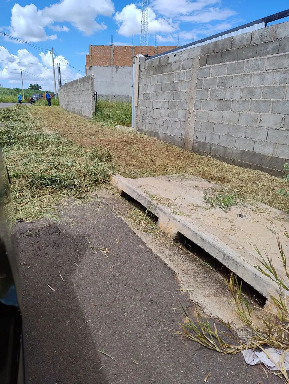 Limpeza de jardinagem  - Foto 2