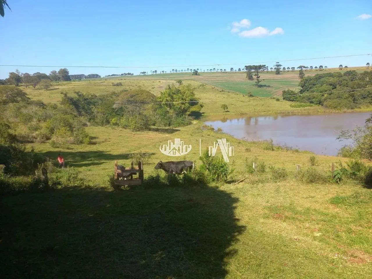 Sítio à venda, 60000 m² por R$ 1.250.000,00 - Lerroville - Londrina/PR - Foto 7