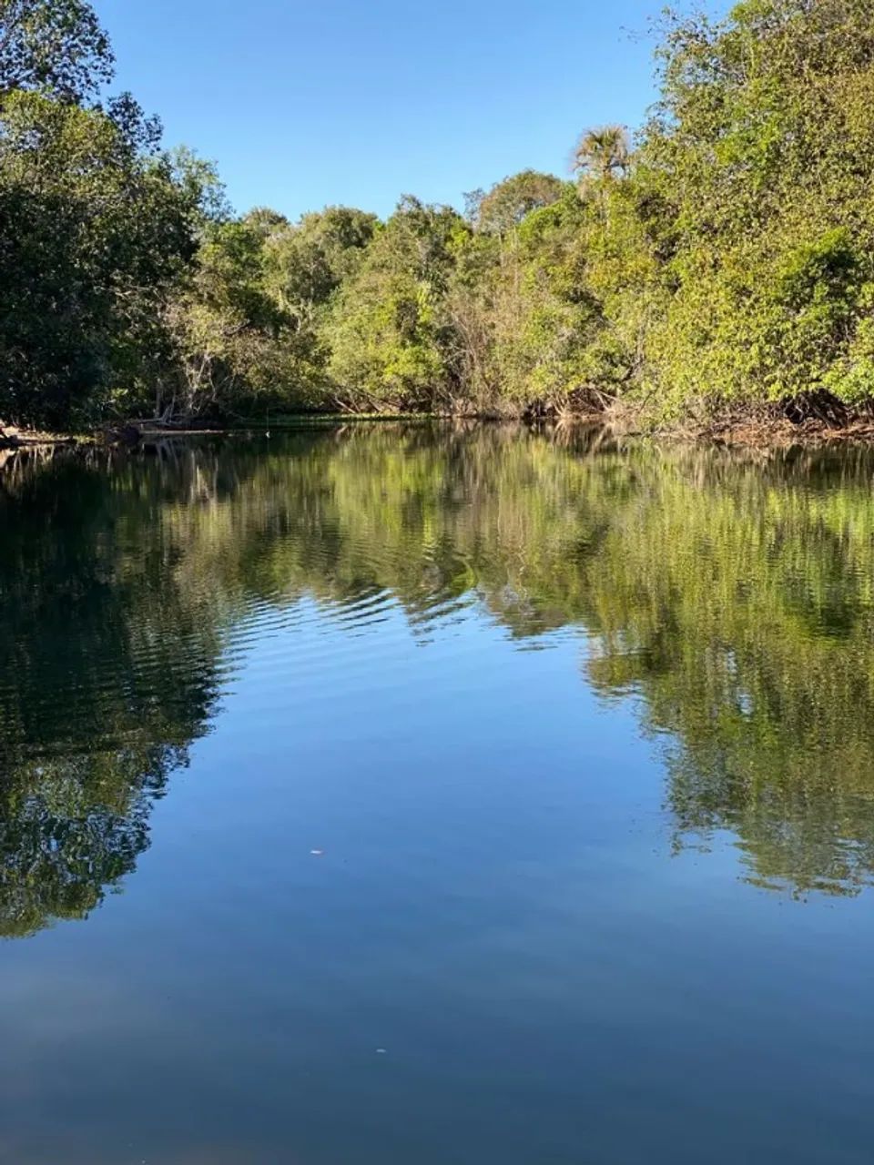 Vendo fazenda em Araguaína Mt - Foto 3