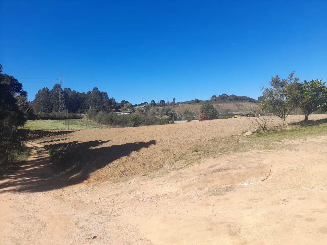 Sítio/ Chácara em Mandirituba  - Foto 2