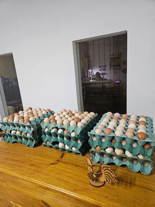 Ovos de galinha frescos - Foto 2