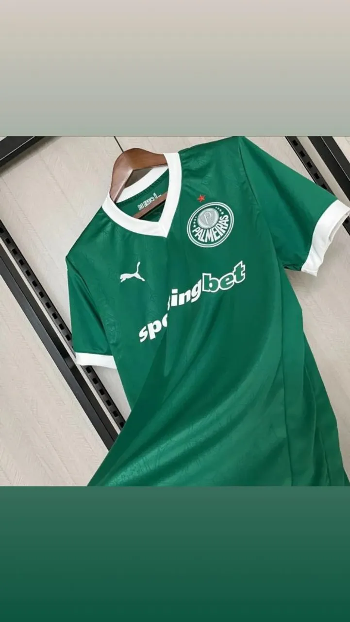 Camisa Palmeiras Modelo 2025.
