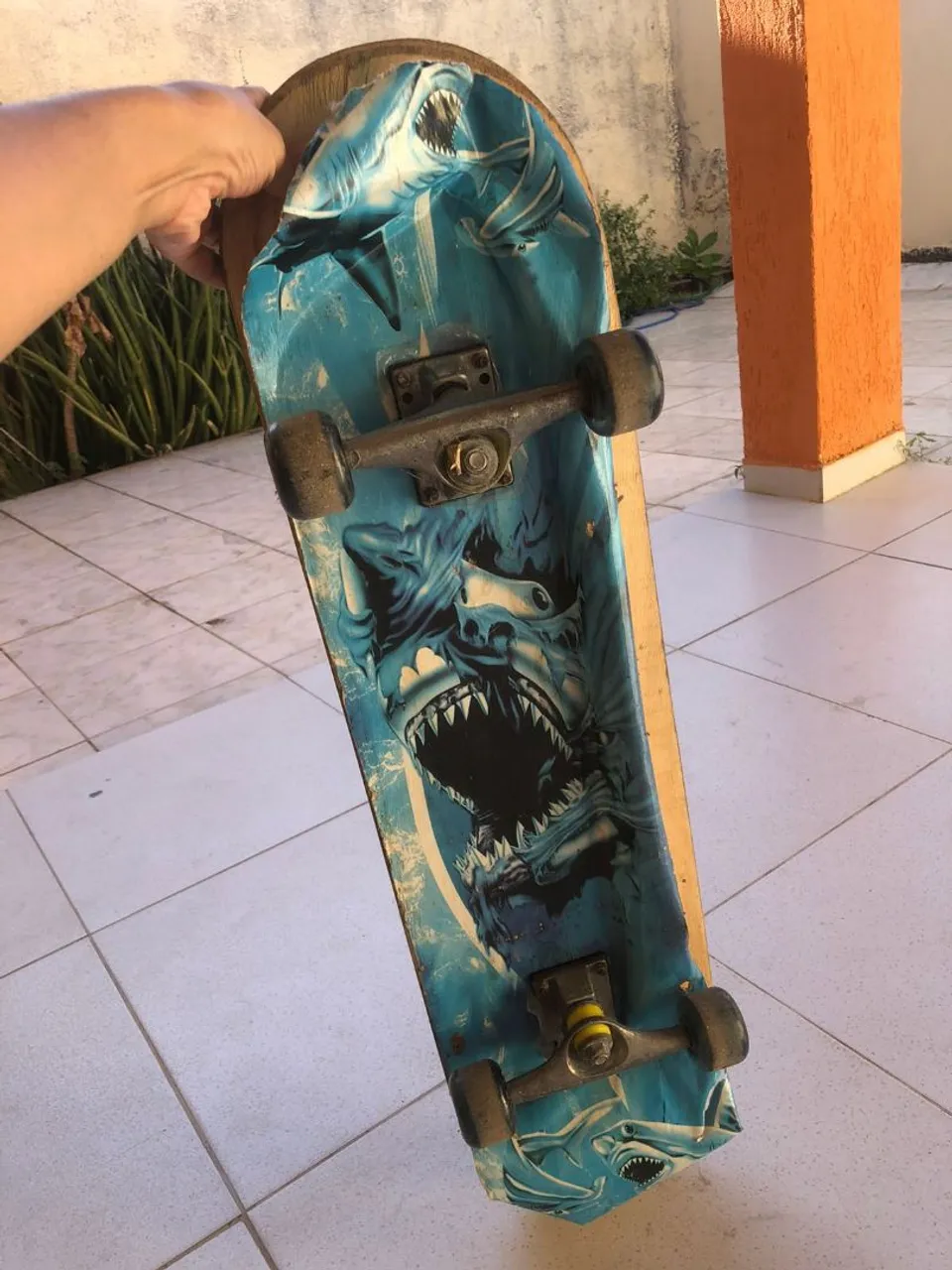 Skate Shark - Pronta Entrega