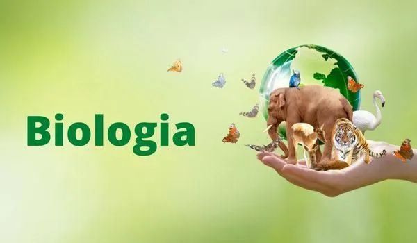 Aulas reforço de Ciências e Biologia  - Foto 2