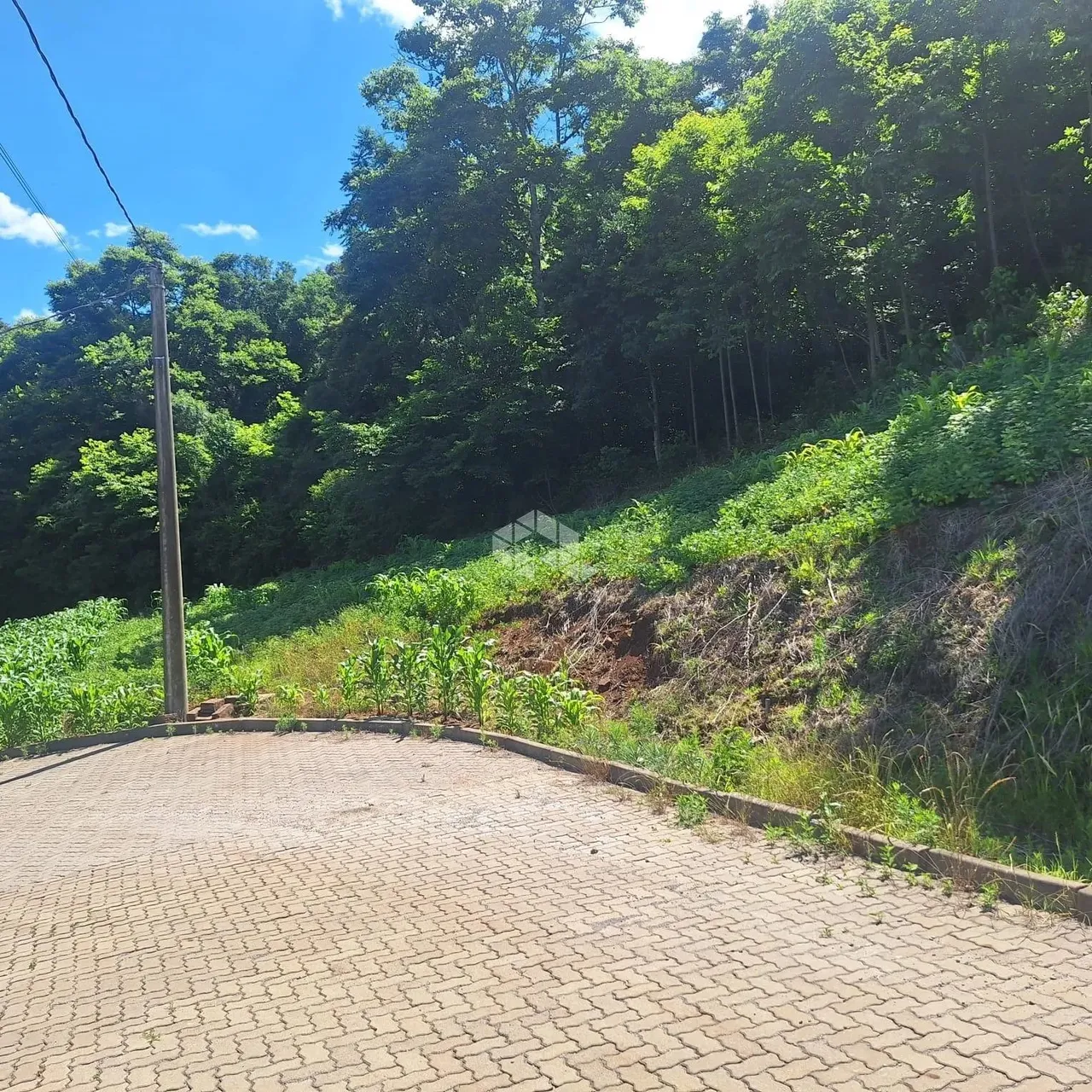 Terreno com 936,02 m2 em área arborizada na serra gaúcha a venda por R$ 159.000,00
