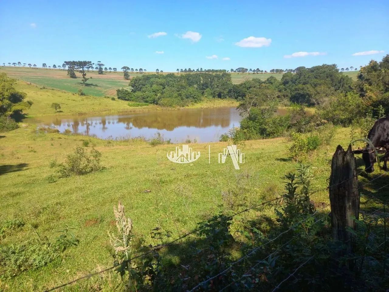 Sítio à venda, 60000 m² por R$ 1.250.000,00 - Lerroville - Londrina/PR - Foto 9