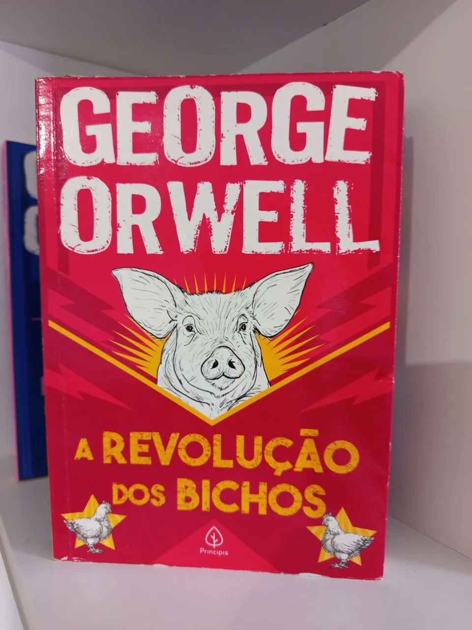 Box Livros - Foto 5