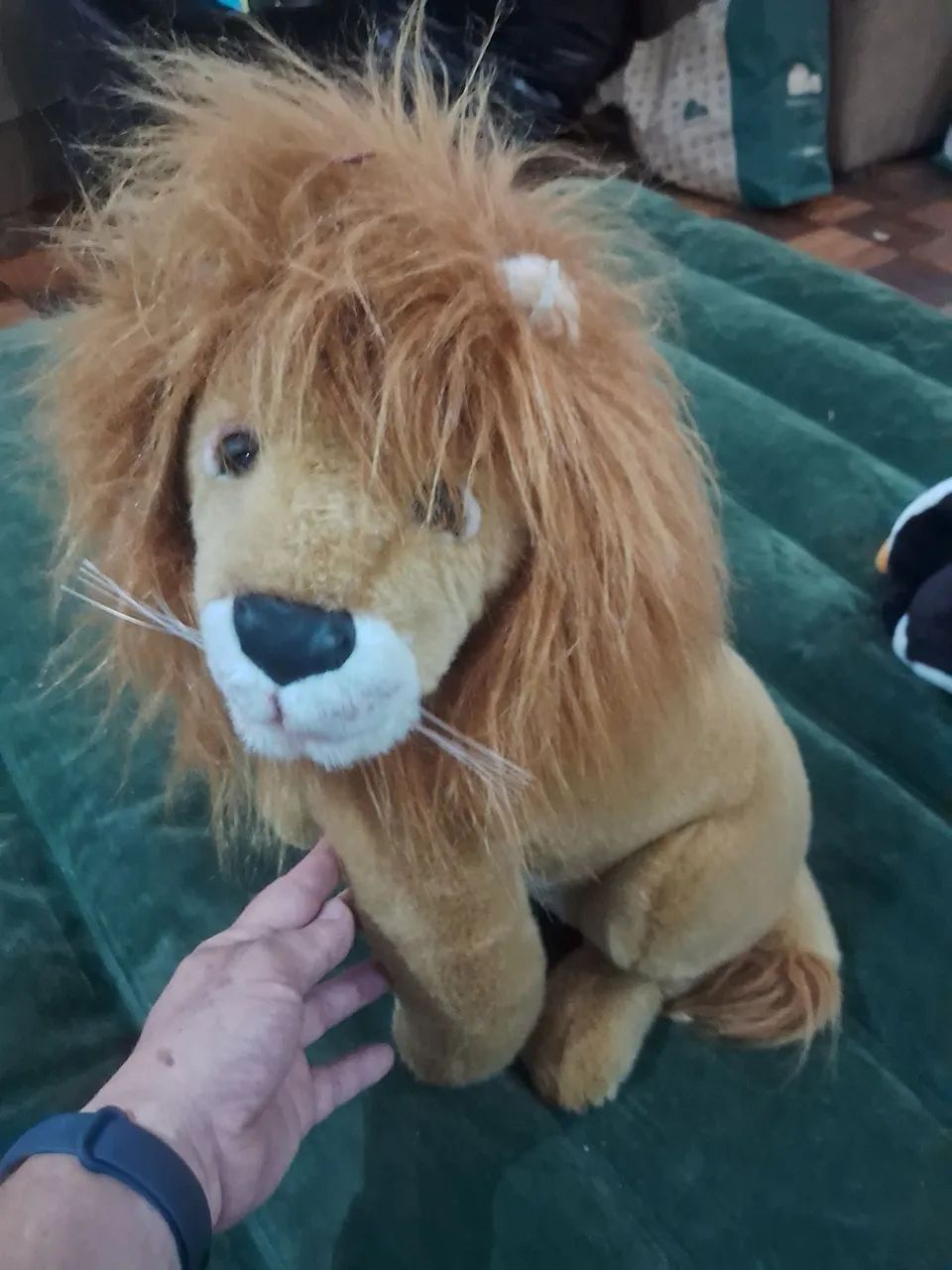 Leaozinho de pelúcia 