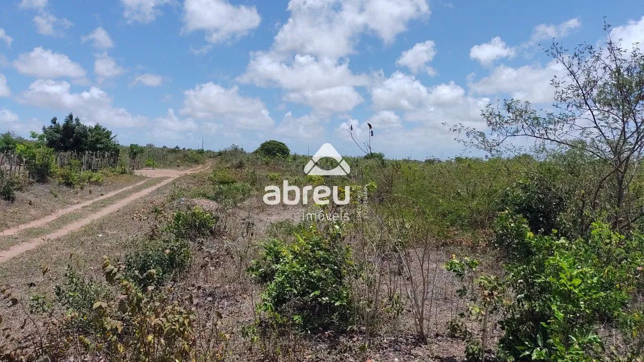 Sem Tipo Terreno em São Gonçalo do Amarante - Foto 4