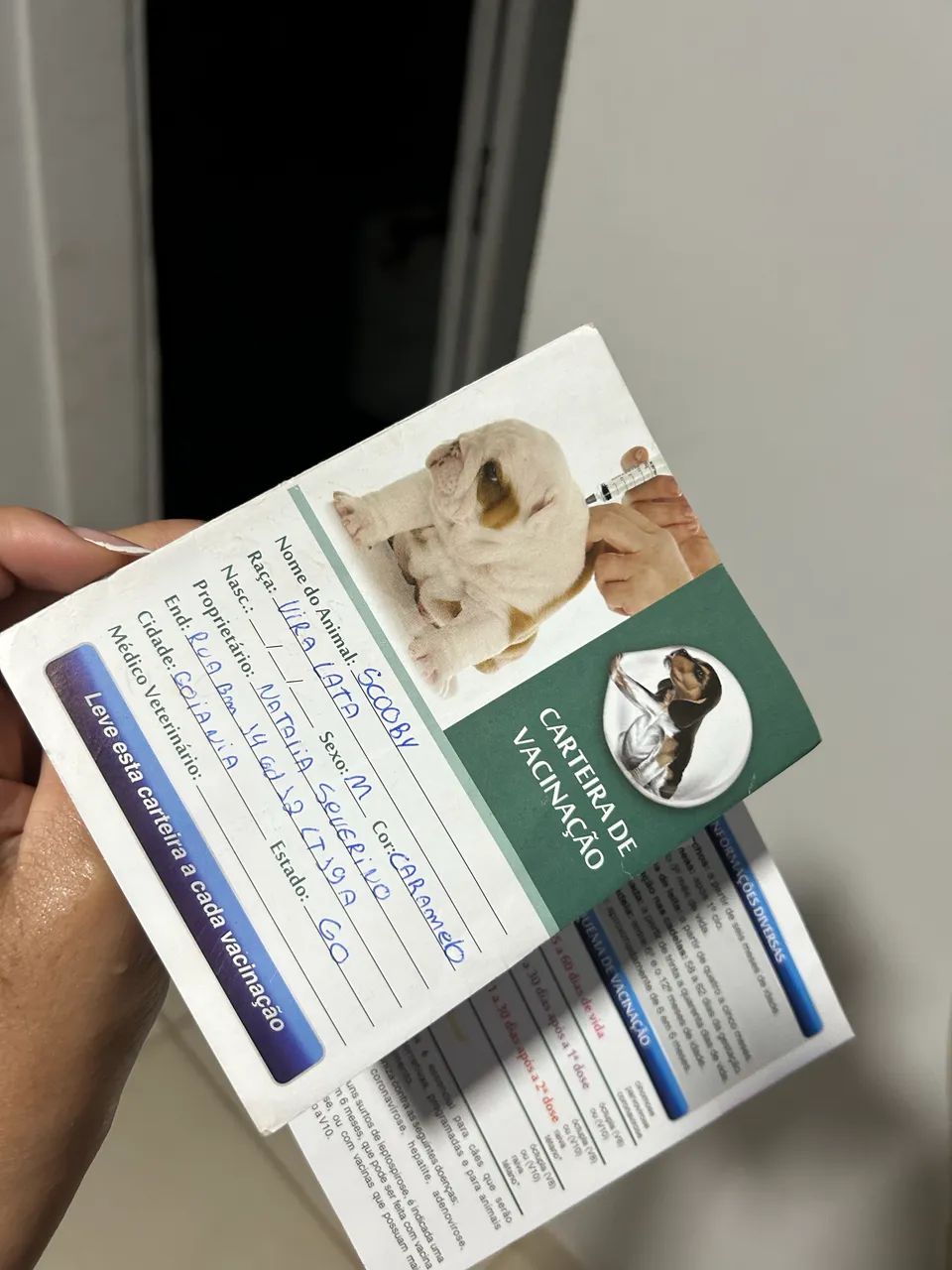 Doação  - Foto 4