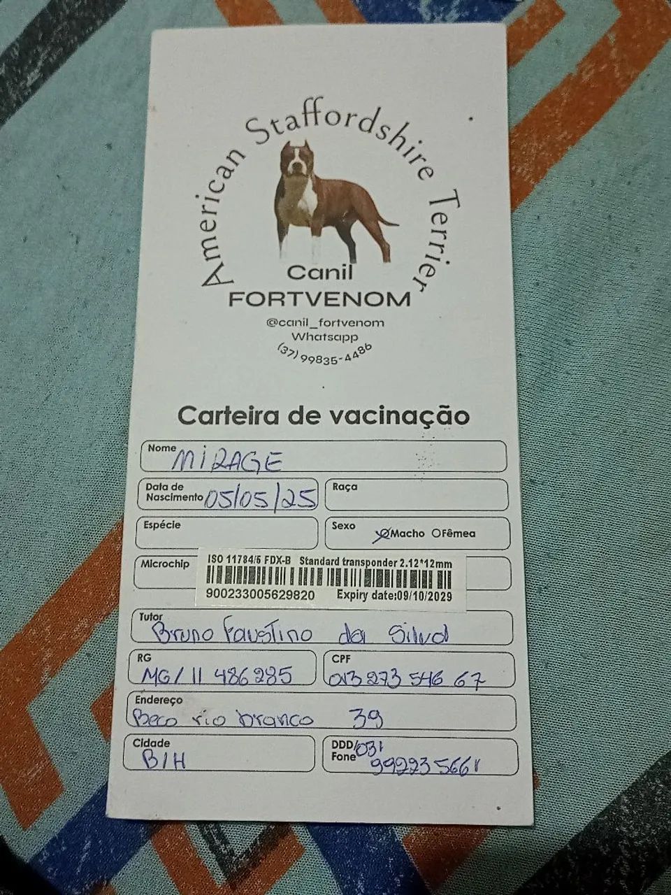 Vende-se  - Foto 3