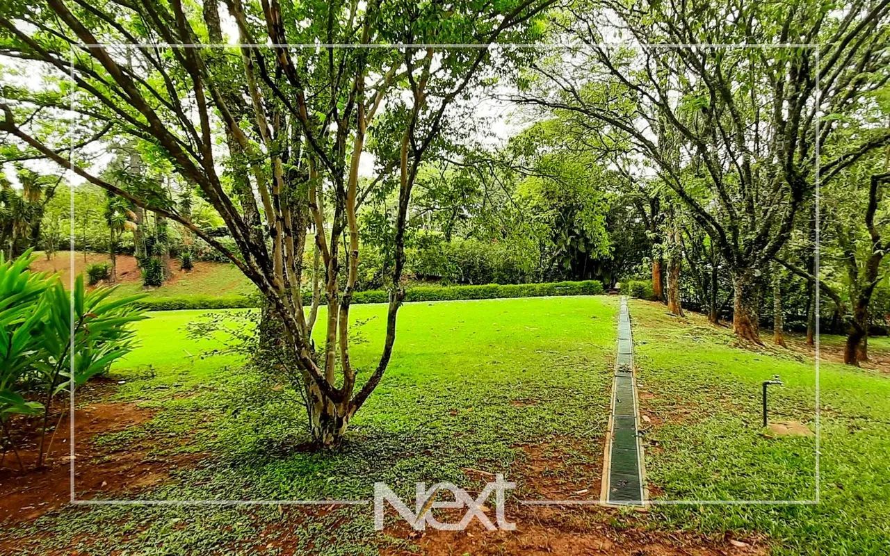 terreno - Sítios de Recreio Gramado - Campinas - Foto 5