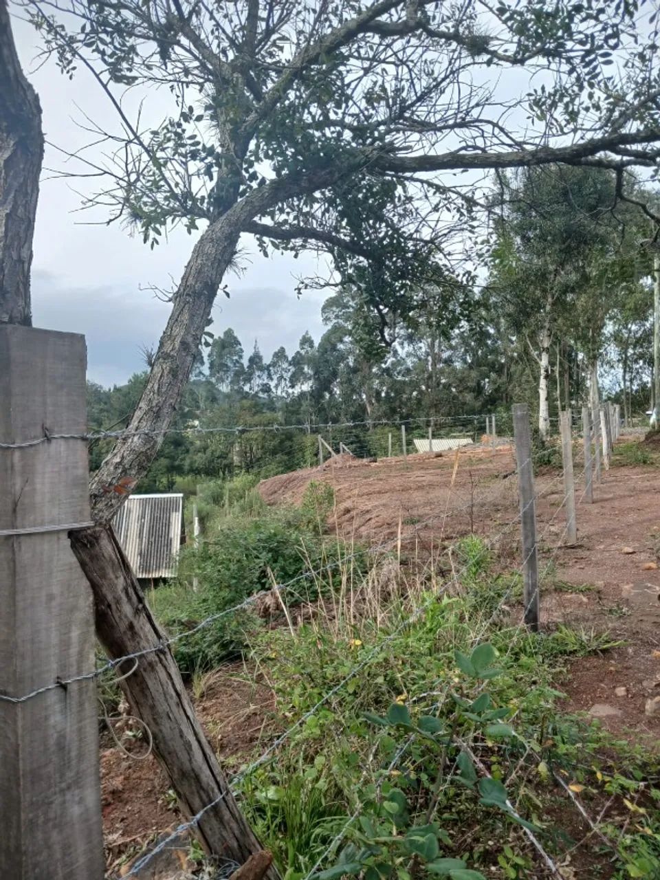 Vendo lote no salto caveiras - Foto 2