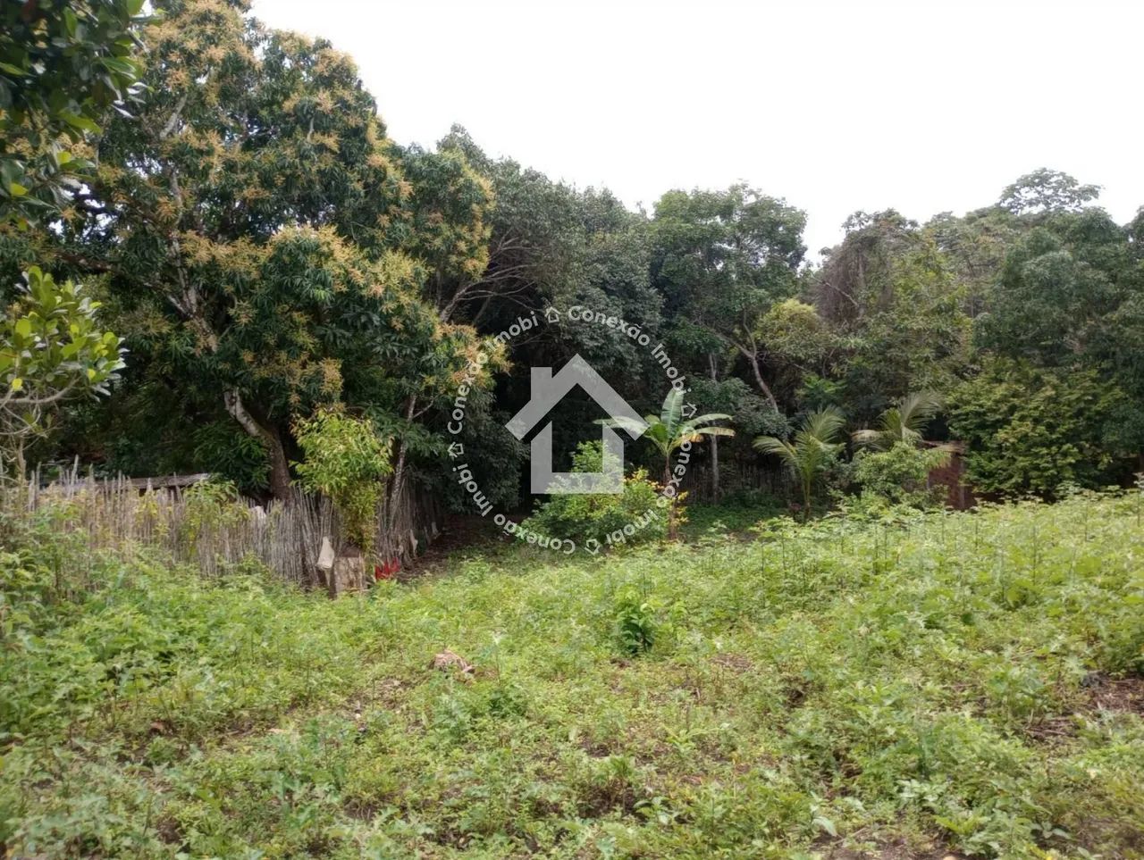 Sítio à venda - São Cristovão | 3 quartos - Foto 4