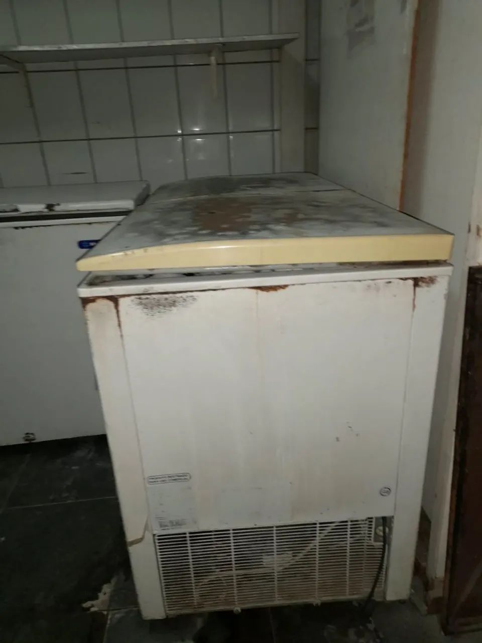 Frizer horizontal 575  - Foto 2