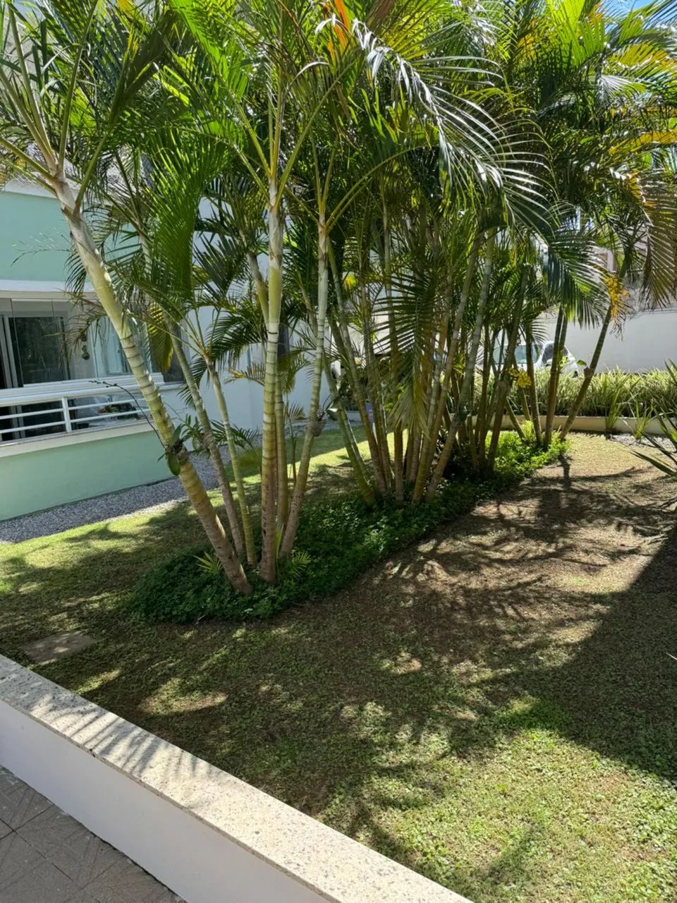 Alugo apto de 1 Dorm em Canasvieiras - Foto 2