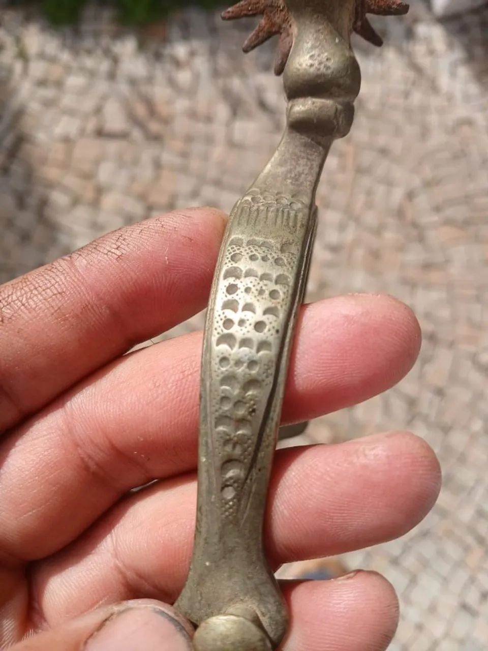 Esporas antigas  - Foto 3