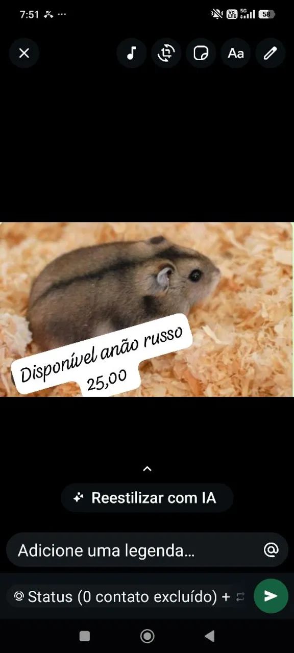Hamster 