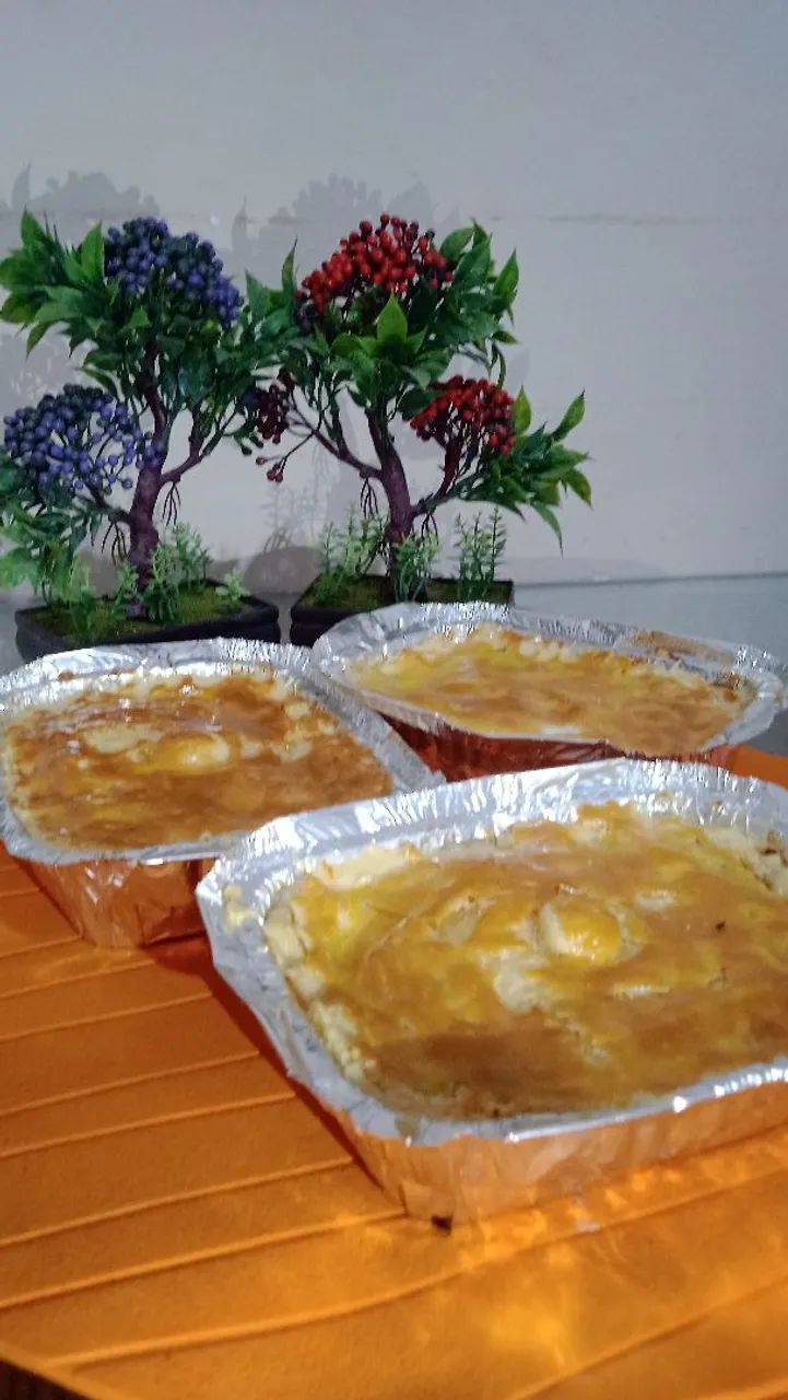 PARA REVENDEDORES - Foto 2