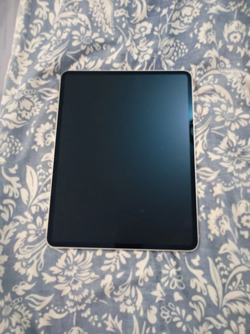 Novo IPad Pro 13